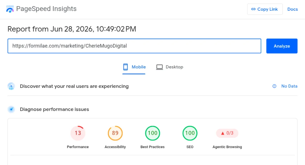 PageSpeed Insights report showing a slow WordPress site score
