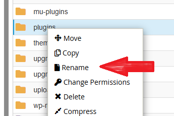 cpanel file manager step 3