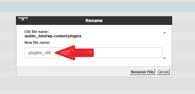 cpanel file manager step 4